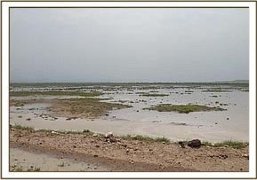 amboseli_16