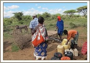 amboseli_6