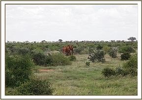 hoehen_tiefen_tsavo_11