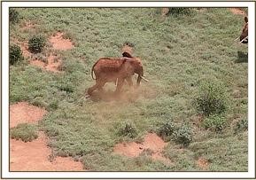 hoehen_tiefen_tsavo_2
