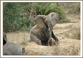 mwalunganje_3