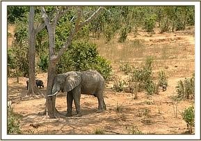 mwalunganje_4