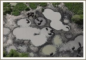 wwt2014_5