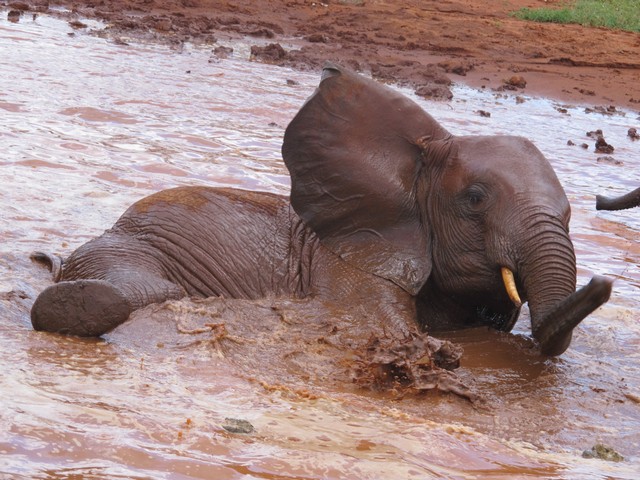 Wesesa in the centre of the bath (1)