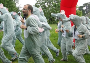 elerun2014_11