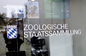 zsm1