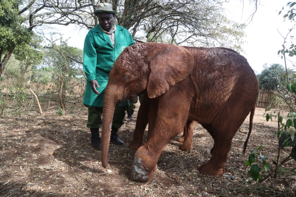 Mwashoti's first walk in the woods.