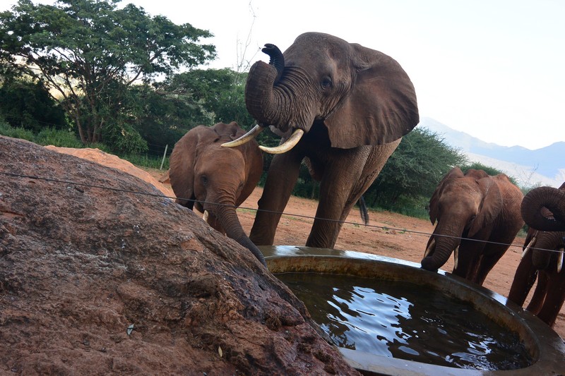 Laikipia embracing Layoni (2)