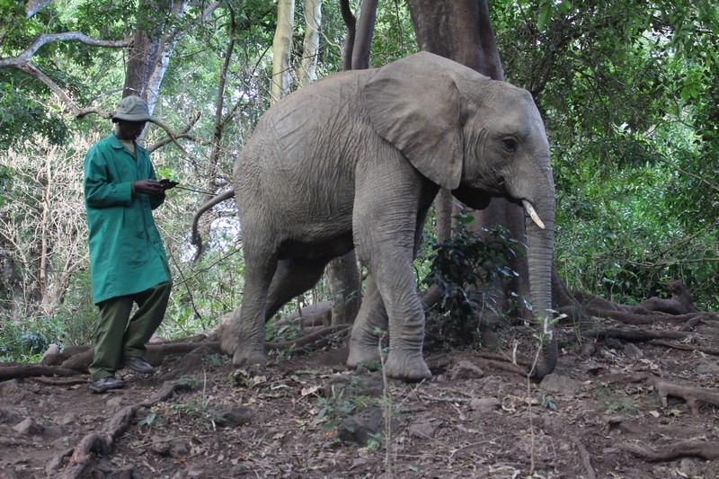 Murera ging to the other babies