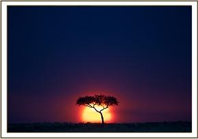 Die Schönheit der Masai Mara