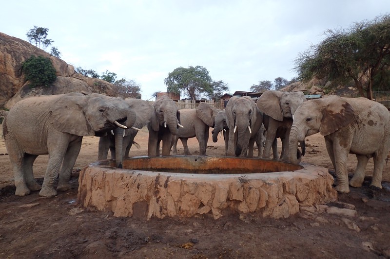 olare group & orphans drinking water