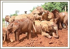 Lemoyian, Faraja und Kithaka