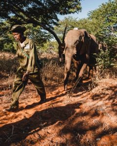 Brian Chitsungo und Matabele