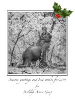 Christmas card WAG 2018 Neujahrsgrüße aus Malawi!