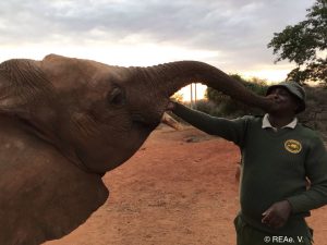 Ngilai begrüßt Head Keeper Joseph