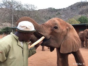 Keeper Walter mit Mudanda