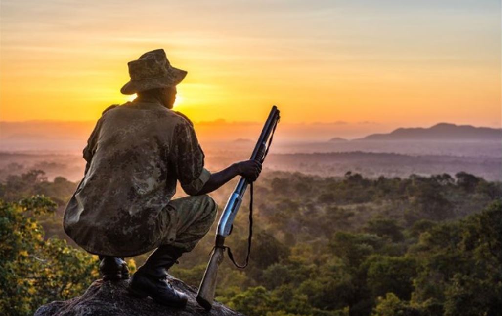 (c) Wildlife Action Group Malawi