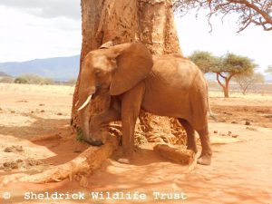 Kenia