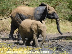 Enkesha mit Sonje am Wasserloch