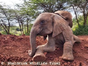 Kinyei und Esoit