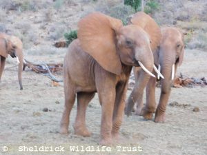 Ndoria (links) mit Mudanda