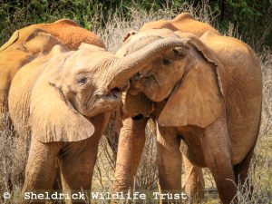Esoit und Kinyei