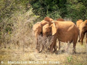 Esoit und Kinyei
