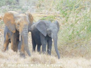 Sonje (links) mit Kiombo