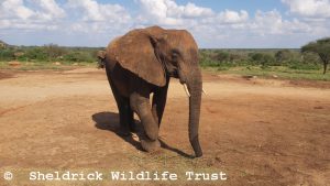 Narok