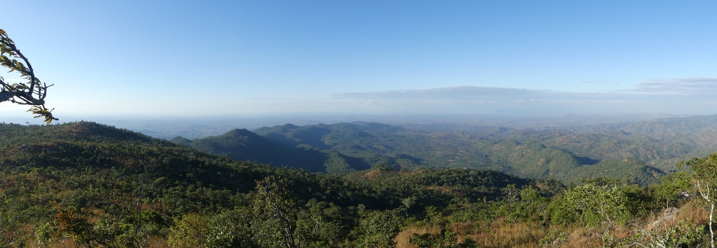 Der Ausblick vom Gipfel des Mount Thuma über das Plateau (mit den Salzlecken). Hinter dem Plateau liegt das WAG-Basislager.