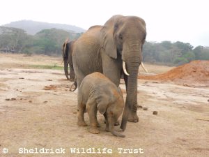 Murera mit Mwana