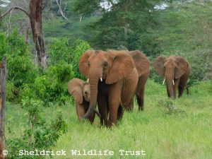 Mwana mit ihren Kindermädchen