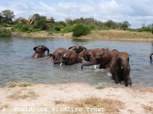 Die Waisen beim Baden
