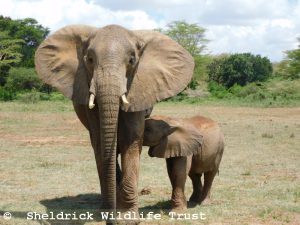 Murera mit Mwana