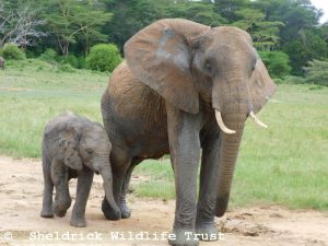 Murera mit Mwana
