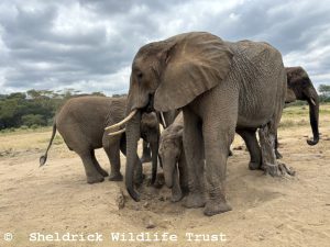 Murera mit Baby und Kindermädchen