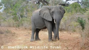 Faraja