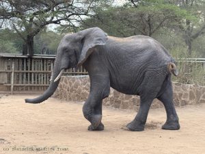 Faraja